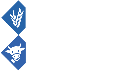Glairon Mondet Glairon Mondet