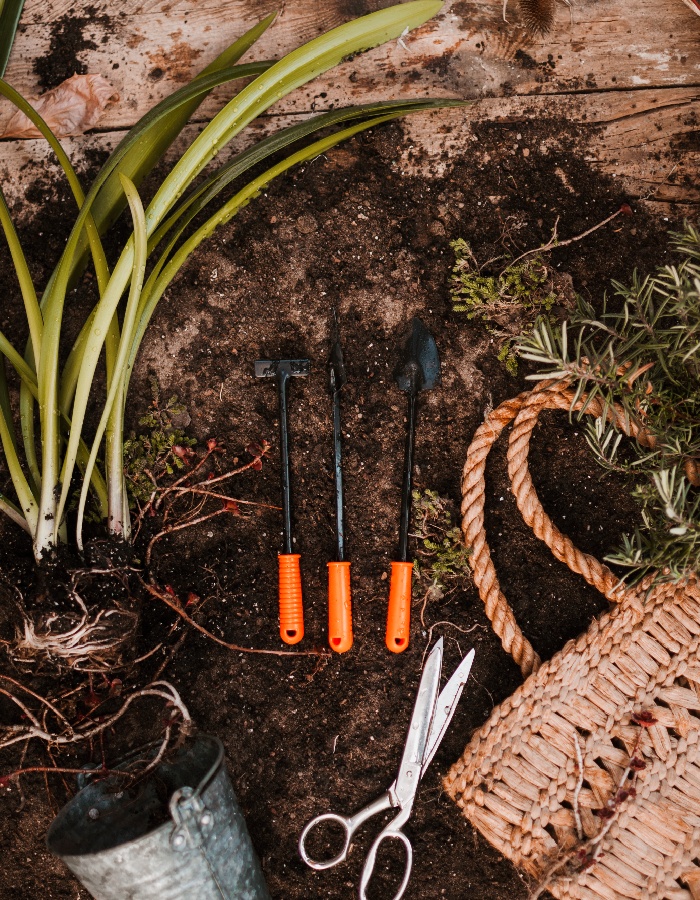 Petits outils de jardinage sur terre avec plante, ciseaux et panier tressé