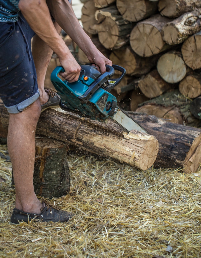 Tronçonneuse en action pour la coupe de bois et l’entretien extérieur